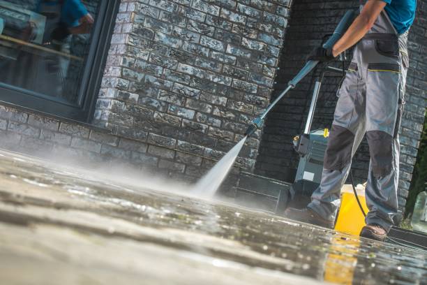 Best Boat and Dock Cleaning  in Point, TX